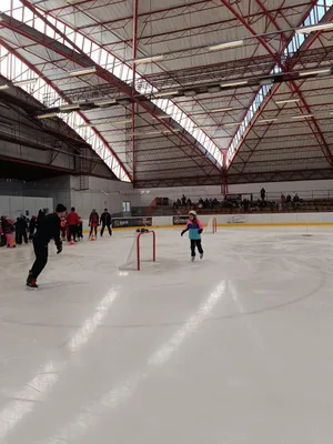 Školní zimní olympijské hry na ledě 2025, 29. 1. 2025