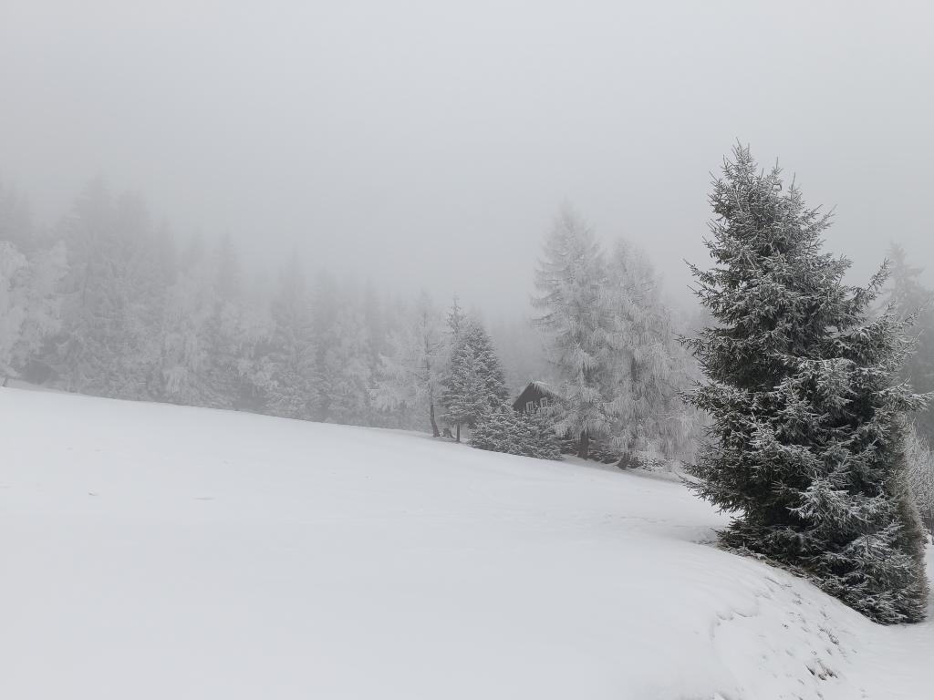 Lyžařský výcvik 2025 - den čtvrtý, 13. 2. 2025