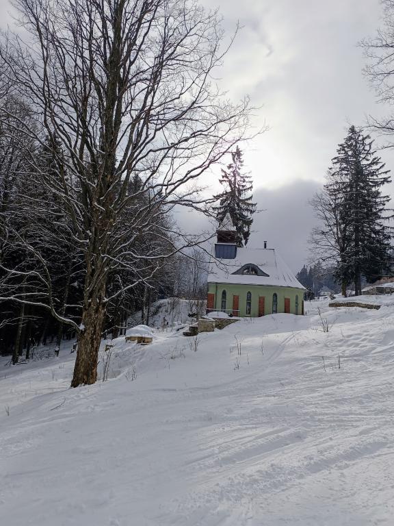 Lyžařský výcvik 2025 - den šestý, 15. 2. 2025