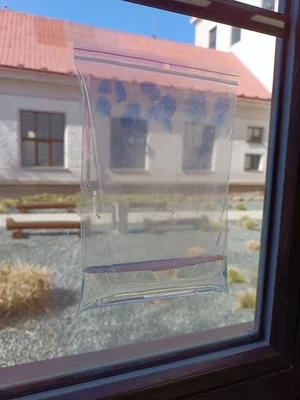 27. týden ve školní družině, 28. 3. 2025