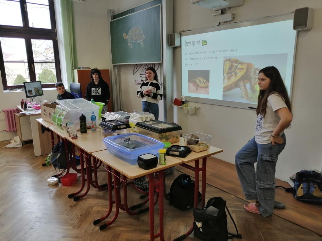 Celoškolní projekt Máme rádi zvířata, 31. 3. 2025
