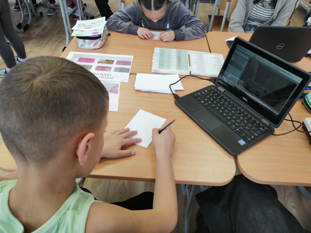 Celoškolní projekt Máme rádi zvířata, 31. 3. 2025