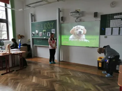 Celoškolní projekt Máme rádi zvířata, 31. 3. 2025