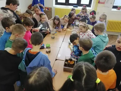Celoškolní projekt Máme rádi zvířata, 31. 3. 2025
