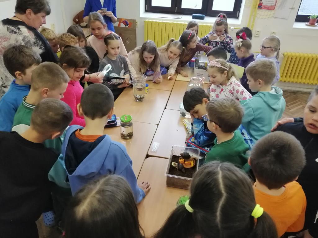 Celoškolní projekt Máme rádi zvířata, 31. 3. 2025