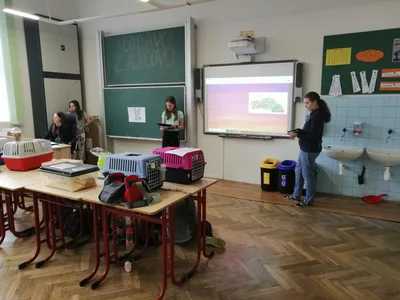 Celoškolní projekt Máme rádi zvířata, 31. 3. 2025