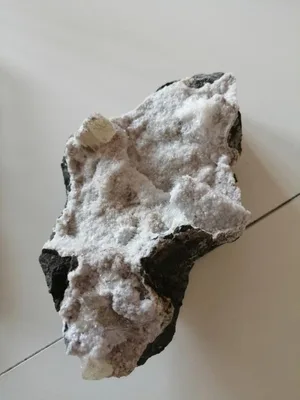 Celoškolní projekt Máme rádi zvířata, 31. 3. 2025
