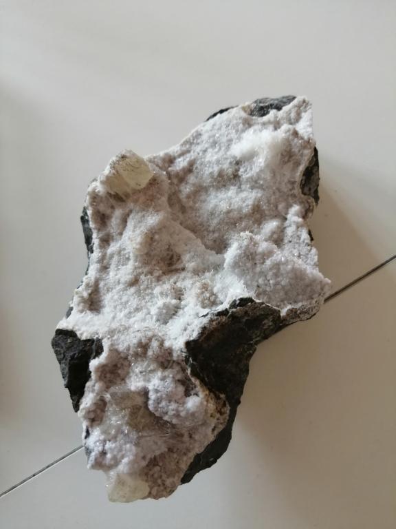 Celoškolní projekt Máme rádi zvířata, 31. 3. 2025