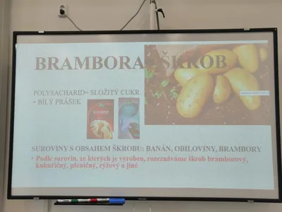 Celoškolní projekt Máme rádi zvířata, 31. 3. 2025