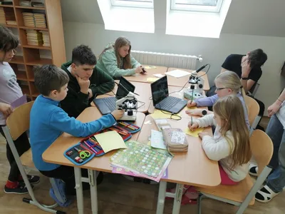 Celoškolní projekt Máme rádi zvířata, 31. 3. 2025