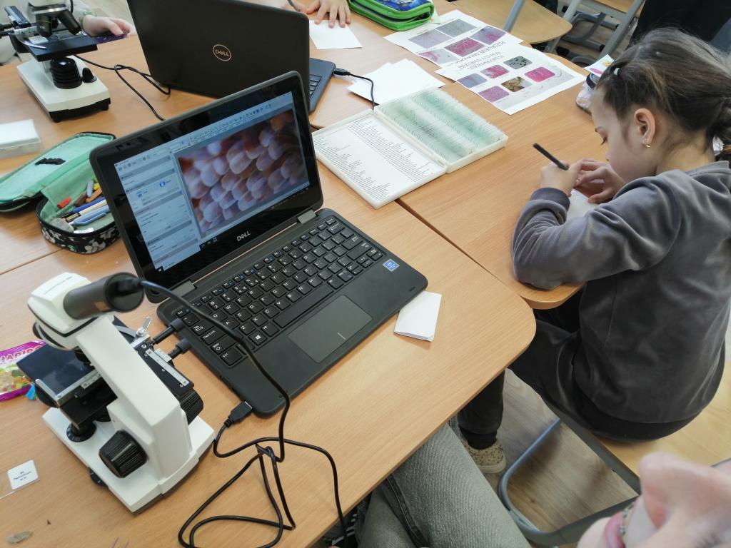 Celoškolní projekt Máme rádi zvířata, 31. 3. 2025