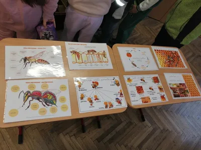 Celoškolní projekt Máme rádi zvířata, 31. 3. 2025
