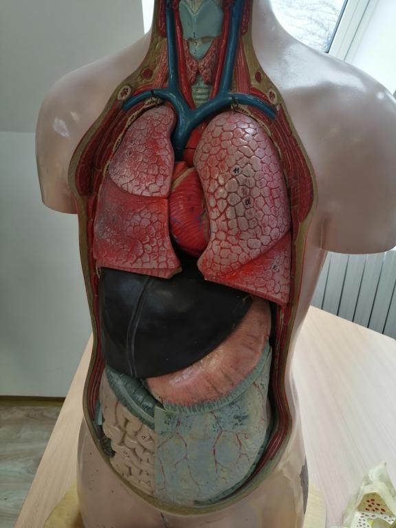 Celoškolní projekt Máme rádi zvířata, 31. 3. 2025