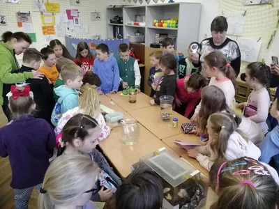 Celoškolní projekt Máme rádi zvířata, 31. 3. 2025