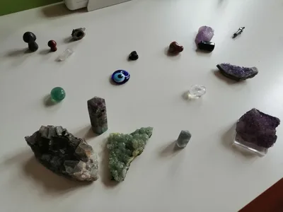 Celoškolní projekt Máme rádi zvířata, 31. 3. 2025