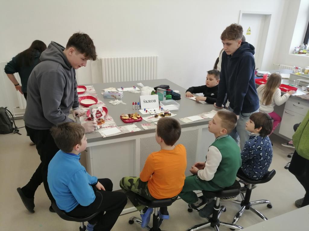Celoškolní projekt Máme rádi zvířata, 31. 3. 2025