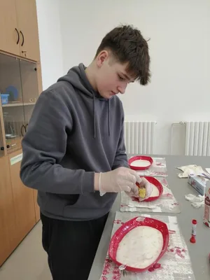 Celoškolní projekt Máme rádi zvířata, 31. 3. 2025