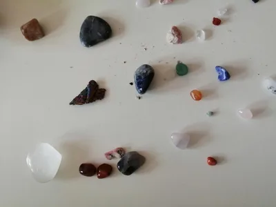 Celoškolní projekt Máme rádi zvířata, 31. 3. 2025