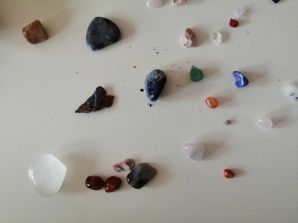 Celoškolní projekt Máme rádi zvířata, 31. 3. 2025