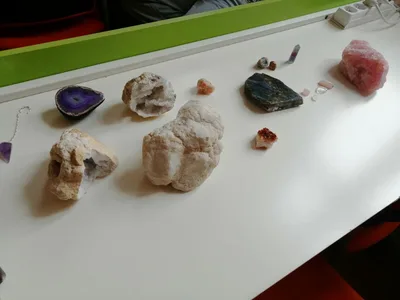 Celoškolní projekt Máme rádi zvířata, 31. 3. 2025