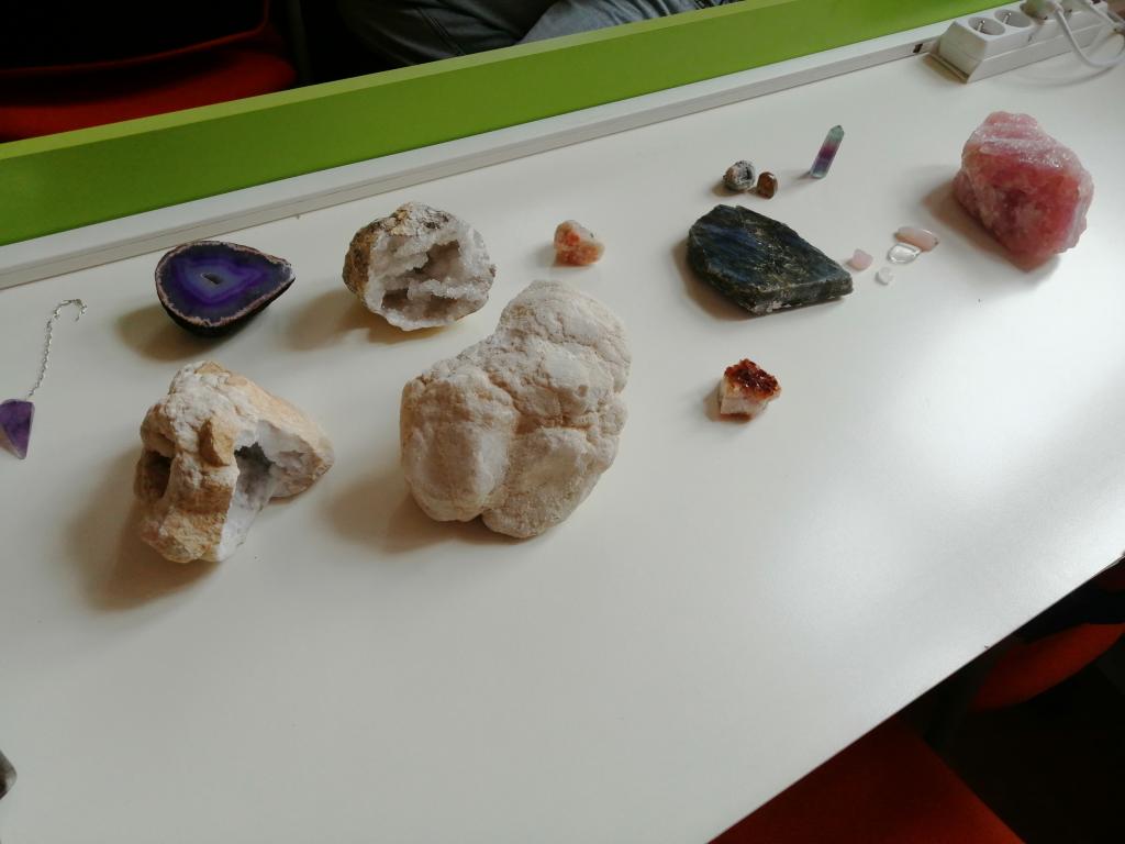 Celoškolní projekt Máme rádi zvířata, 31. 3. 2025