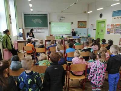 Celoškolní projekt Máme rádi zvířata, 31. 3. 2025
