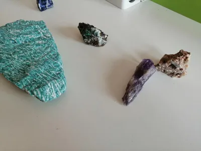 Celoškolní projekt Máme rádi zvířata, 31. 3. 2025