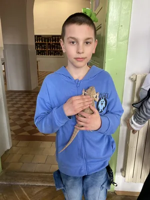 Den otevřených dveří, 31. 3. 2025