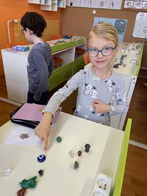 Den otevřených dveří - Můj mazlíček - Včely, 31. 3. 2025