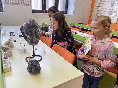Den otevřených dveří - Můj mazlíček - Včely, 31. 3. 2025
