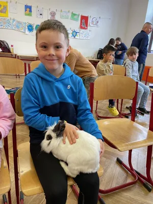 Den otevřených dveří - Můj mazlíček - Včely, 31. 3. 2025