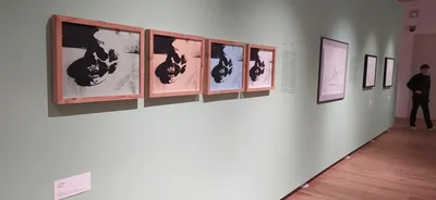 Exkurze Andy Warhol - ikonické portréty, 7. 3. 2025