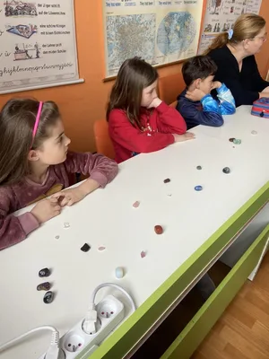 Projekt - Máme rádi zvířata, 31. 3. 2025