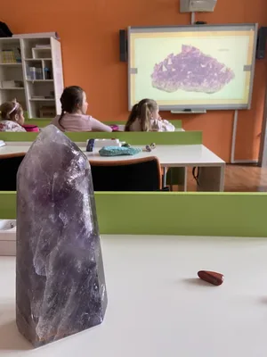 Projekt - Máme rádi zvířata, 31. 3. 2025