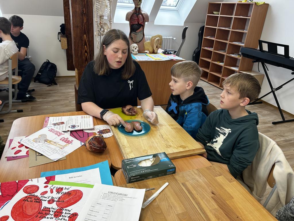 Projekt Máme rádi zvířata, 31. 3. 2025