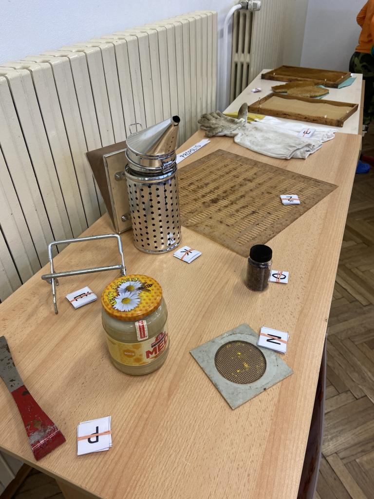 Projekt - Máme rádi zvířata, 31. 3. 2025