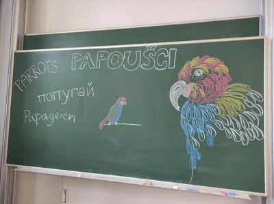 Projekt Máme rádi zvířata, 31. 3. 2025