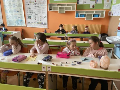 Projekt - Máme rádi zvířata, 31. 3. 2025