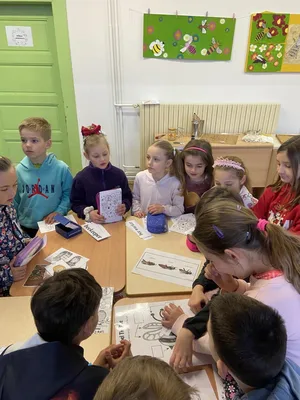 Projekt - Máme rádi zvířata, 31. 3. 2025