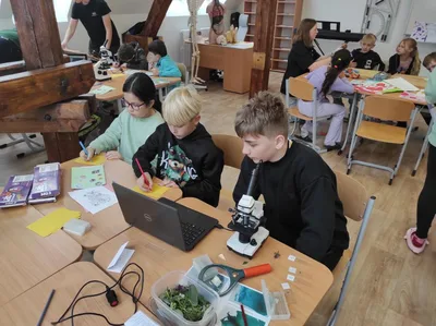 Projekt Máme rádi zvířata, 31. 3. 2025