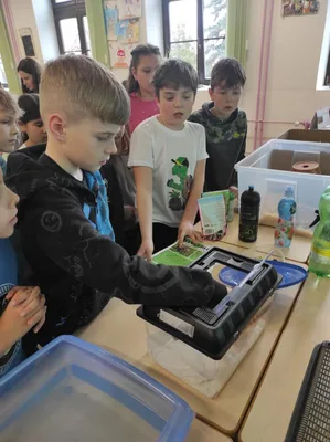 Projekt Máme rádi zvířata, 31. 3. 2025