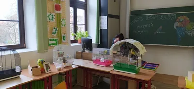 Projektový den "Máme rádi zvířata" a den otevřených dveří, 31. 3. 2025