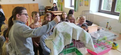 Projektový den "Máme rádi zvířata" a den otevřených dveří, 31. 3. 2025