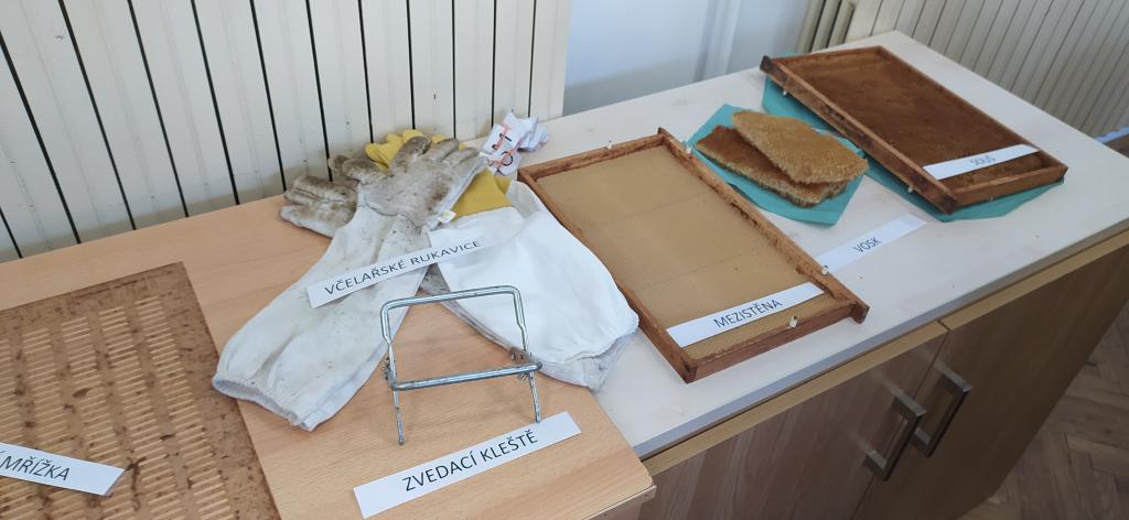 Projektový den "Máme rádi zvířata" a den otevřených dveří, 31. 3. 2025