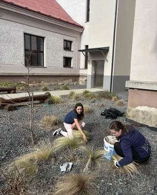 Úklid školní zahrady - děvčata 6. a 7. třídy, 13. 3. 2025