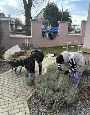 Úklid školní zahrady - děvčata 6. a 7. třídy, 13. 3. 2025