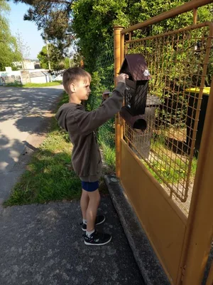 Ocenění zahrad a okolí domů v rámci Dne Země, 29. 4. 2025