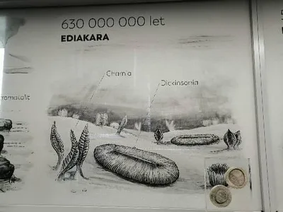 Planeta Hlinsko, 11. 4. 2025