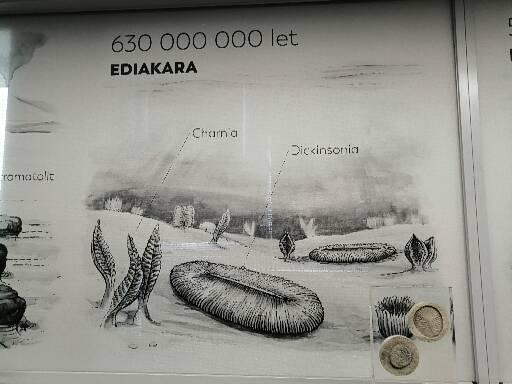 Planeta Hlinsko, 11. 4. 2025