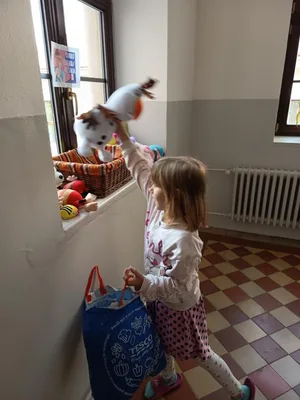 Pomáháme lízátky a plyšáky, 23. 4. 2025